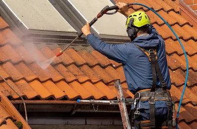Démoussage et hydrofuge de toiture à Meyras